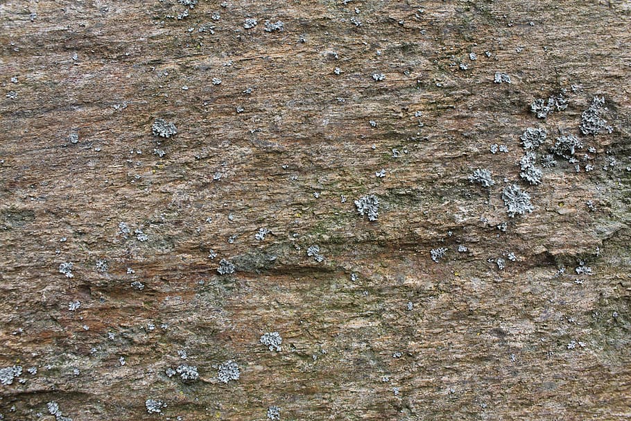 stone, texture, background, pattern, backgrounds, full frame HD wallpaper