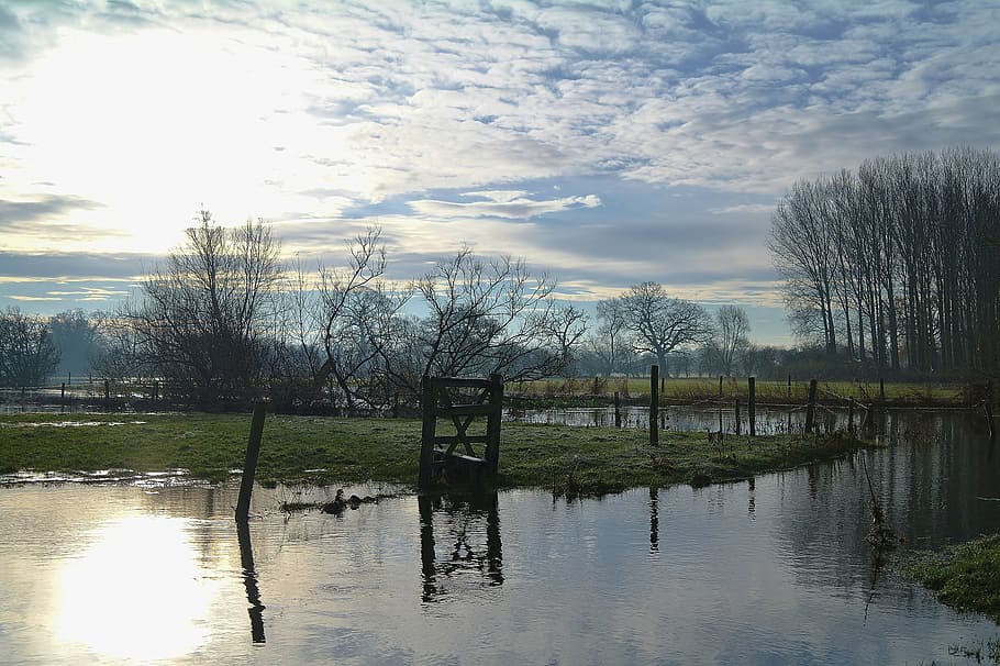 flooded, frost, winter, fields, countryside, landscape, water HD wallpaper