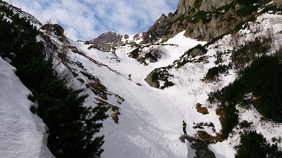alpine, alps, skiing, skier, skis, downhill, snow, extreme sports HD wallpaper