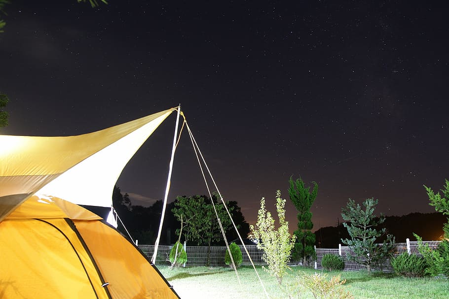 camping, night, star, tent, outdoors, nature, forest, sky, transportation HD wallpaper