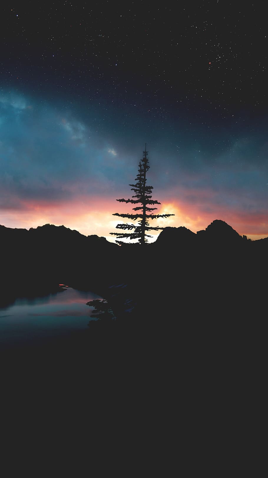 silhouette of tree and mountain, silhouette of a pine tree during dawn HD wallpaper
