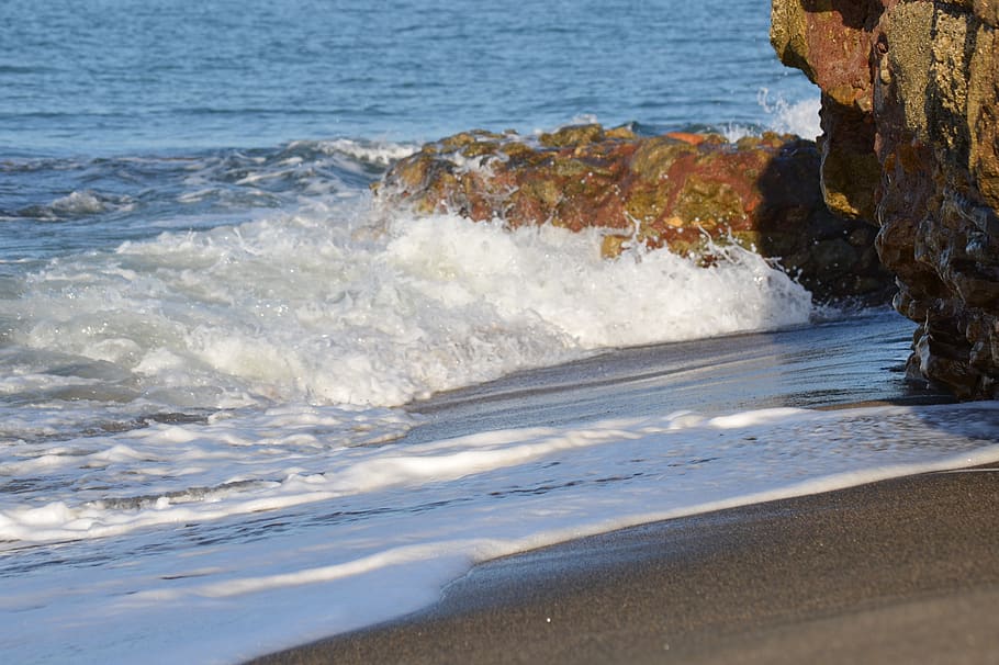waters, sea, ocean, wave, beach, motion, land, sport, surfing HD wallpaper