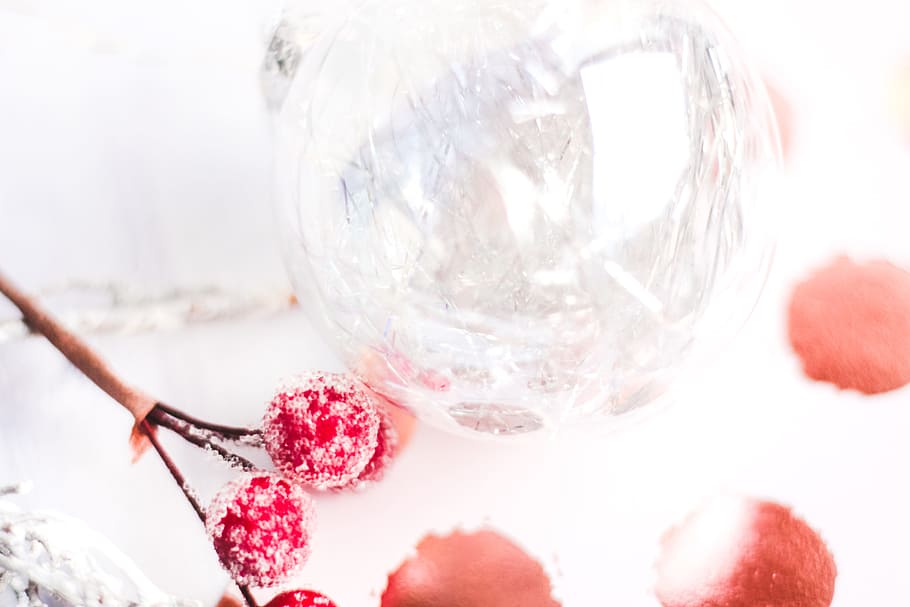Selective Focus Photography of Frost Covered Red Cherries, bright HD wallpaper