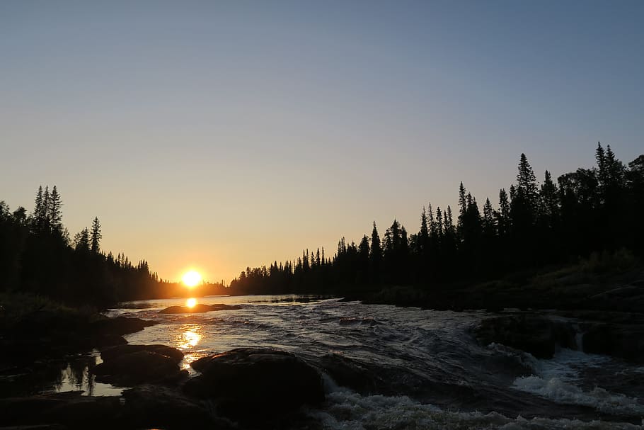 evening, sunset, river, sky, forest, water, beauty in nature HD wallpaper