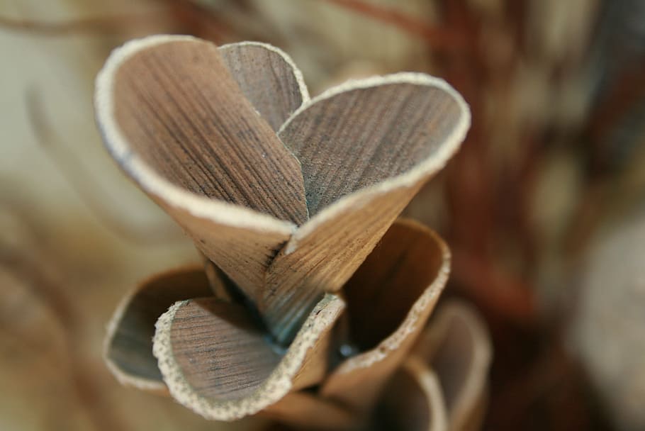 deco, material, wood, brown, close, close-up, focus on foreground HD wallpaper