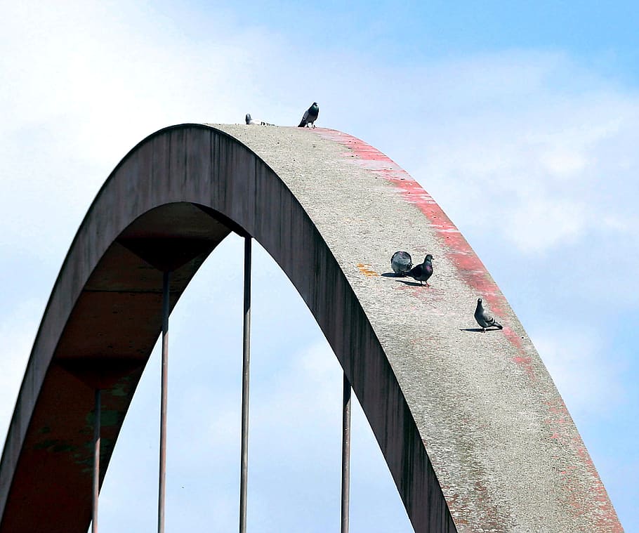 bridge, arch, architecture, building, structural, structure HD wallpaper