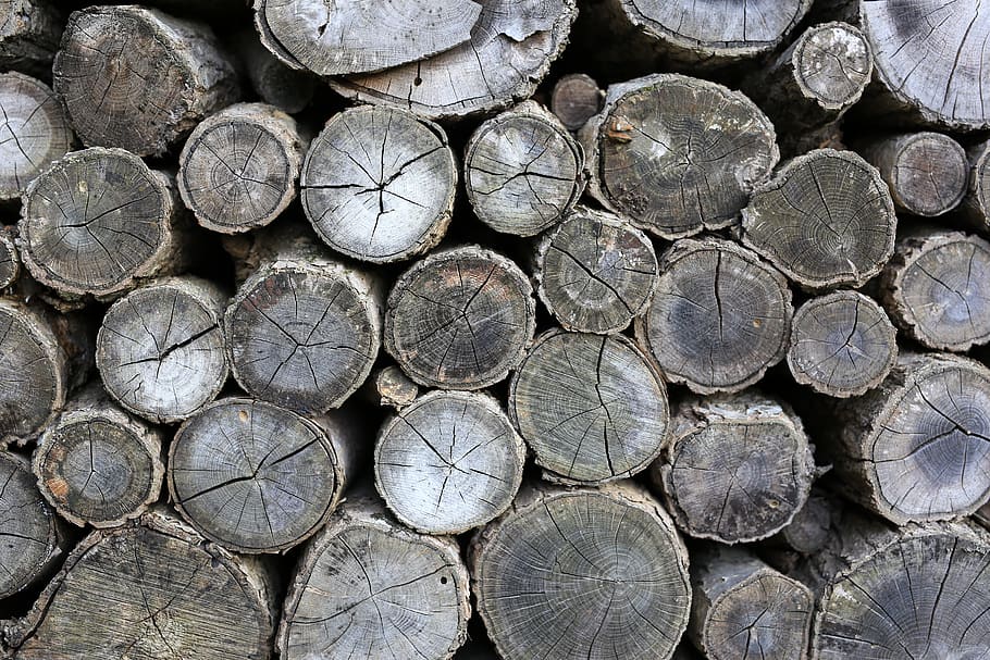 wood, section, nature, forest, timber, log, stack, firewood HD wallpaper