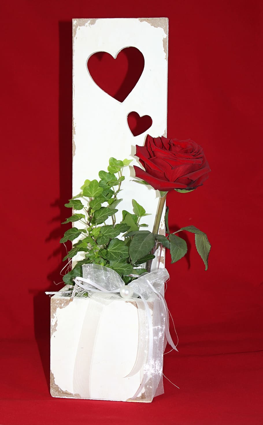 rose, red, red rose, flower, red roses, romantic, valentine's day HD wallpaper