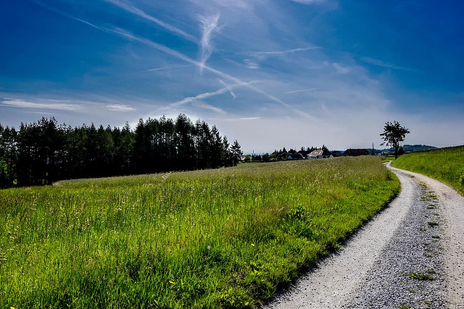away, sky, landscape, nature, clouds, blue, summer, road, forest HD wallpaper