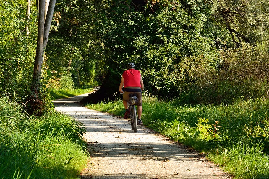 cycling, cyclists, forest, nature, trees, leisure, cycle path HD wallpaper