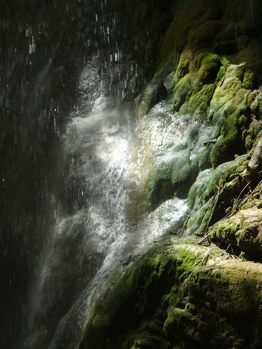 moss, waterfall, wet, slippery, wild, green, nature, exotic HD wallpaper