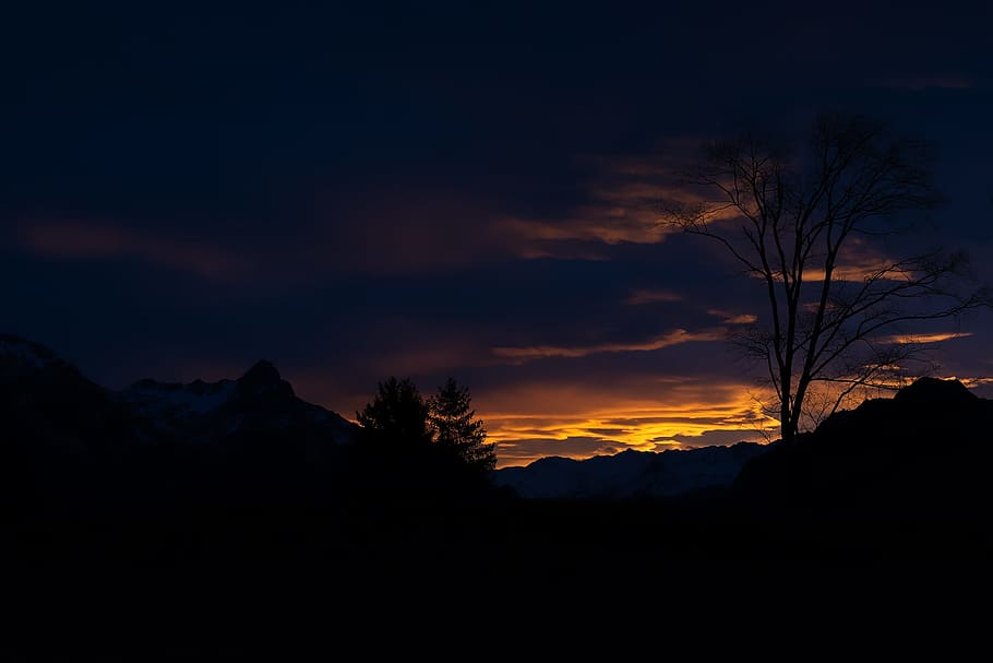 silhouette photography of trees and mountains, landscape, sunrise HD wallpaper