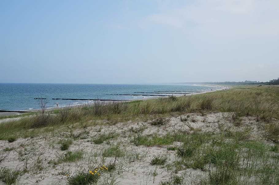 dune, sand, beach, sea, wide, water, land, horizon over water HD wallpaper
