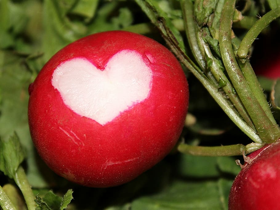 close-up photo of red radish, radishes, heart, salad, vegetables, HD wallpaper