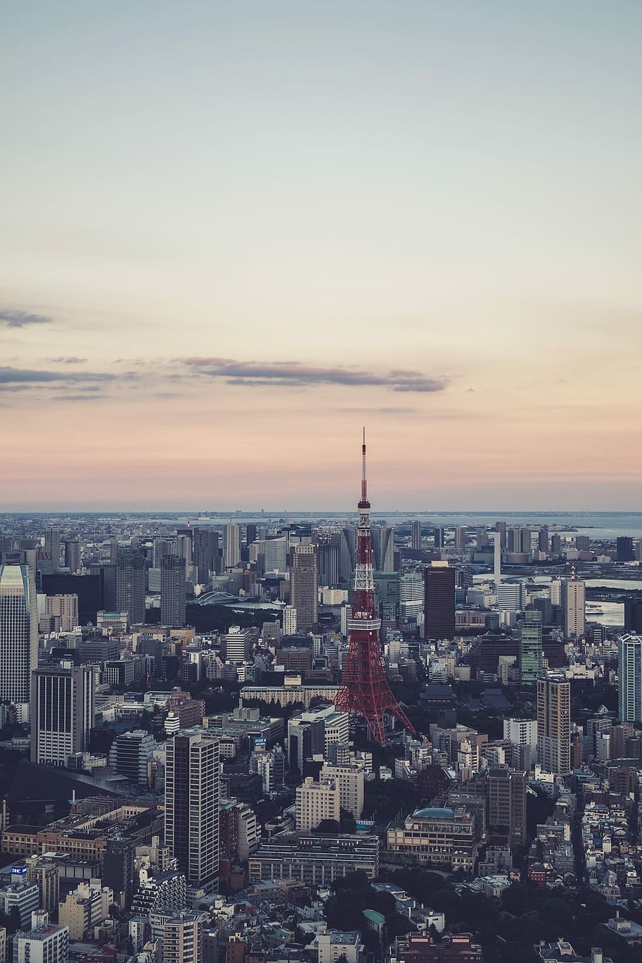 high rise buildings view during daytime, cityscape, urban Skyline HD wallpaper