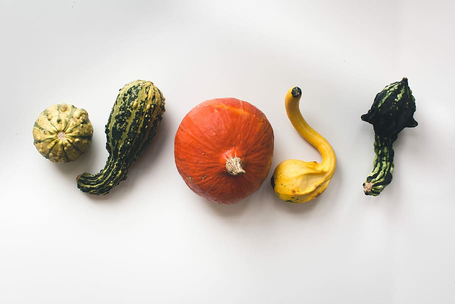 Decorative pumpkins, top view, white background, vegetable, food HD wallpaper