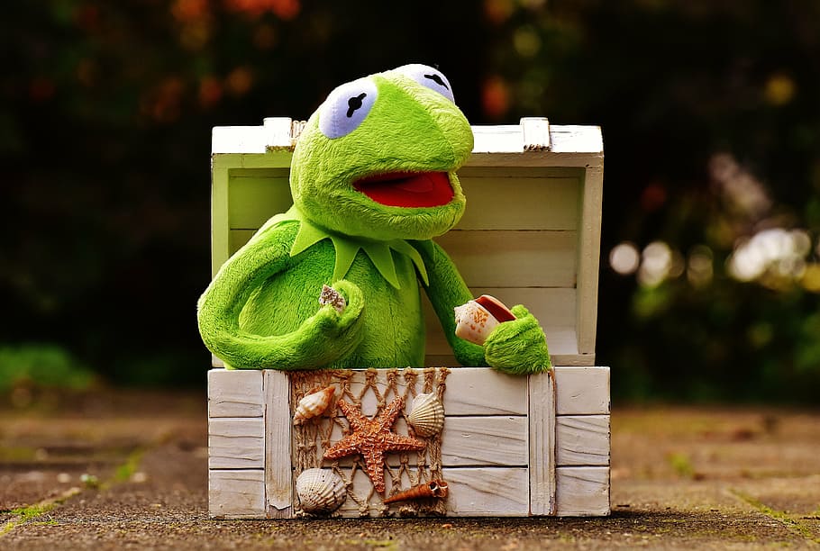 kermit, frog, chest, mussels, fishing net, toys, green, kermit frog HD wallpaper