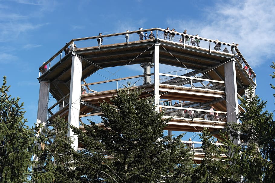 Lipno, Trail, View, Treetops, trip, sky, built Structure, architecture And Buildings HD wallpaper