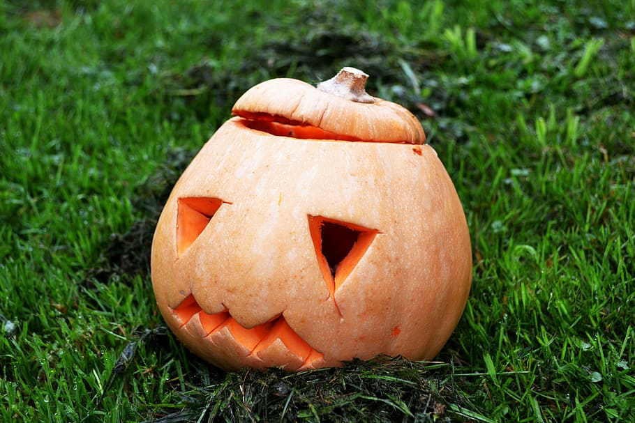 pumpkin, squash, halloween, jack-o-lantern, autumn, horror HD wallpaper