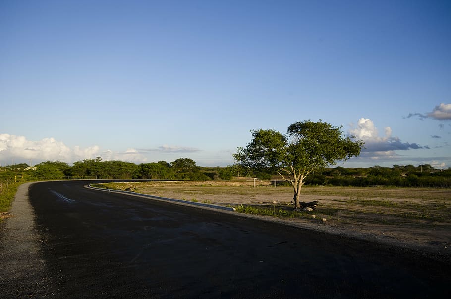 road, highway, sky, tree, paving, path, lane, asphalt, plant HD wallpaper