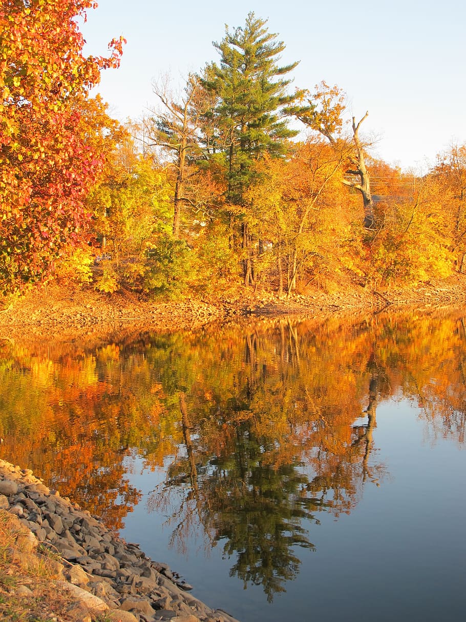 autumn, reflection, landscape, water, fall, nature, foliage HD wallpaper