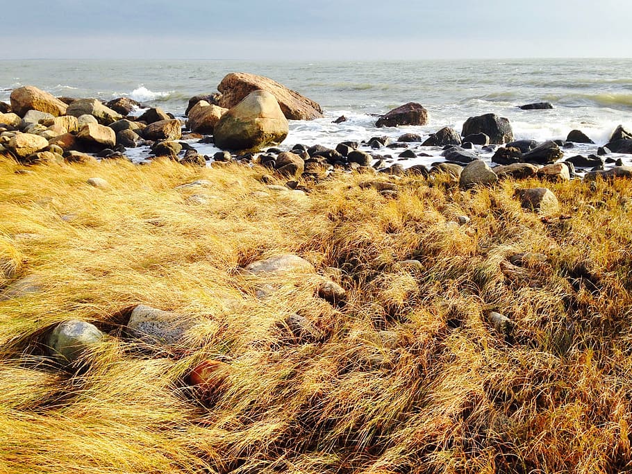 shoreline, beach, rocks, sunlight, water, sea, ocean, connecticut HD wallpaper