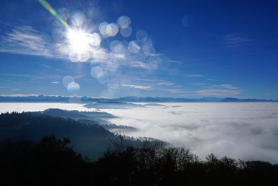 fog, sky, nature, trees, winter, autumn, mood, landscape, sun HD wallpaper