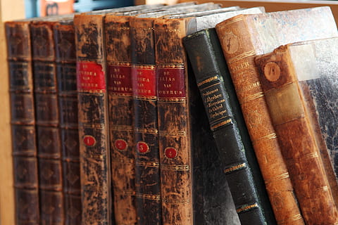 brown and black books on shelf, age, ancient, antique, cover HD wallpaper