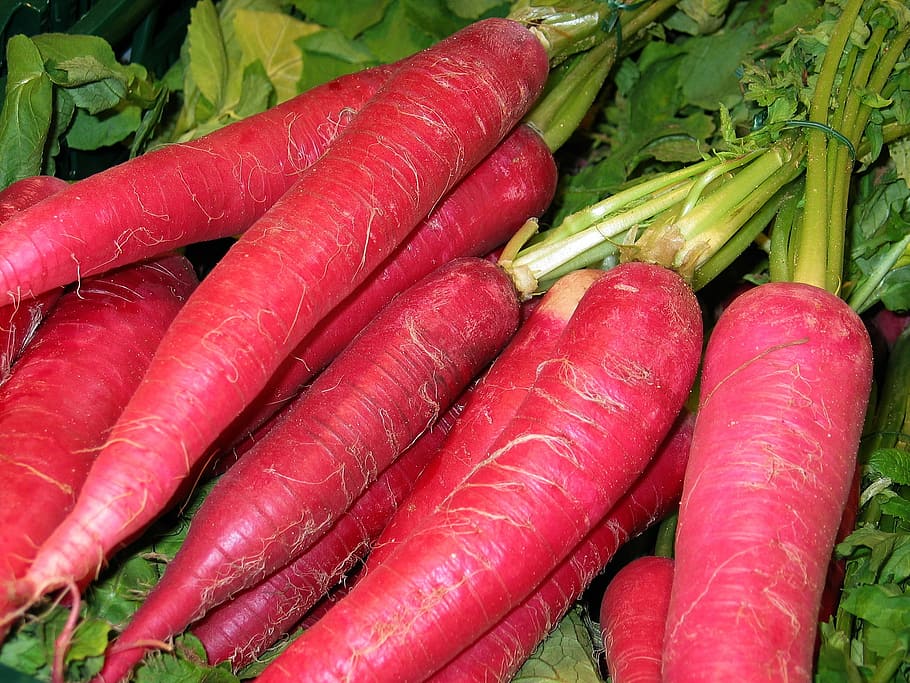 red radish, vegetables, eat healthy, food, vitamins, frisch, HD wallpaper