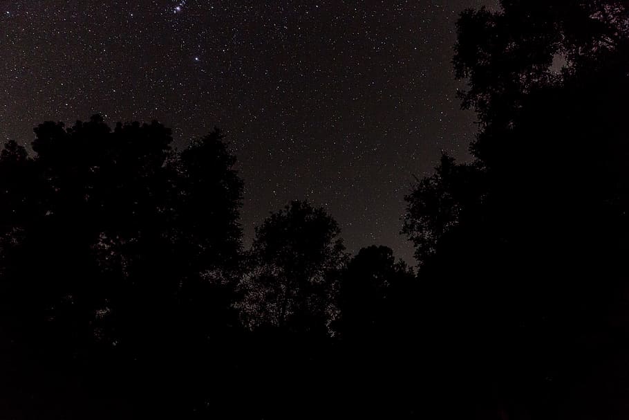 night sky, silhouette of tree during night time, Valley, Stars HD wallpaper