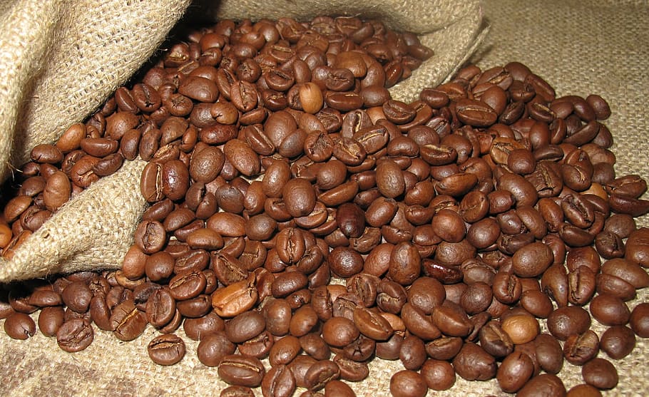 coffee beans, grain, arabica, brown, caffeine, backgrounds, seed, HD wallpaper