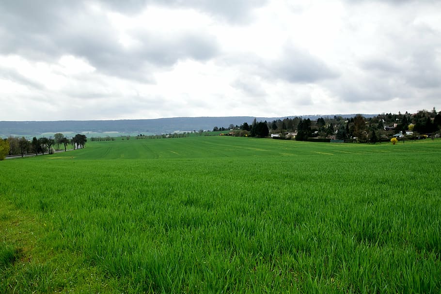 landscape, field, spring, vision, nature, agriculture, rural Scene HD wallpaper