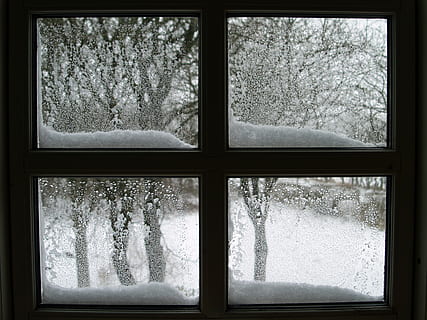 minimalist photography of snow on glass window, lattice windows HD wallpaper