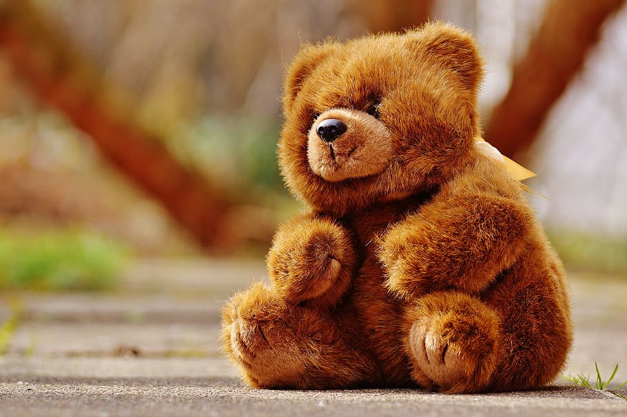 bear, teddy, soft toy, stuffed animal, teddy bear, brown bear, HD wallpaper