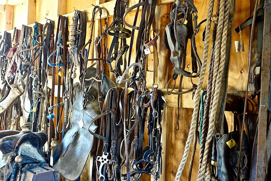 tools, workshop, museum, equipment, collection, vintage, hanging HD wallpaper