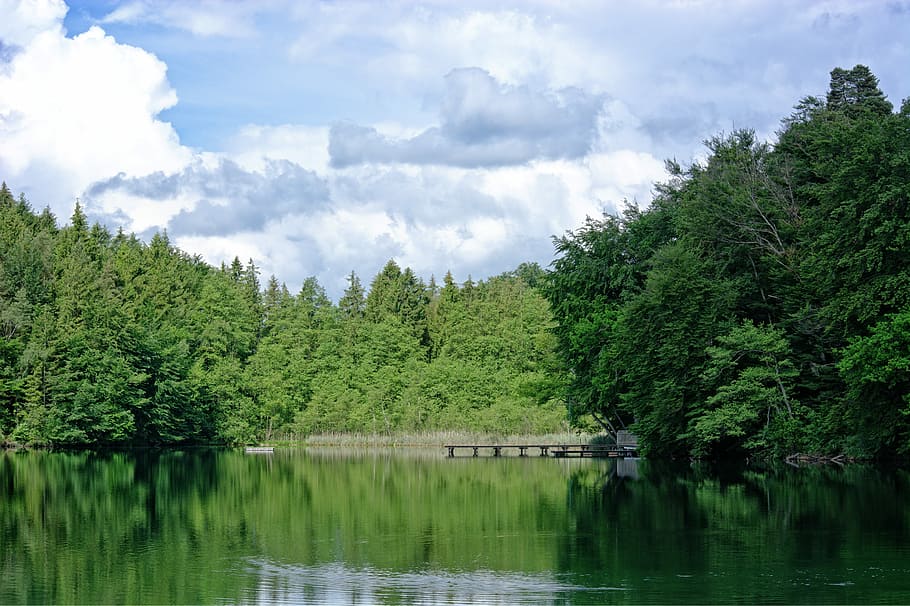 Lake, Forest, Trees, Clouds, Nature, Sky, scenic, harmony, green HD wallpaper