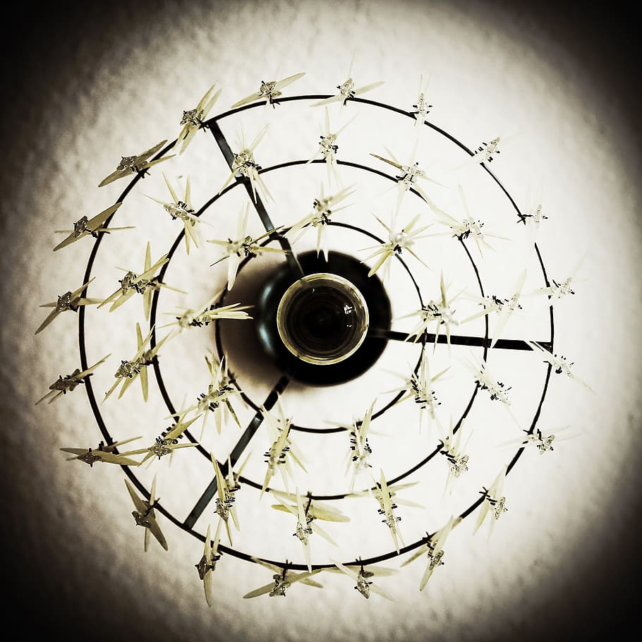 lamp, light bulb, round, district, depend, lighting, shining HD wallpaper