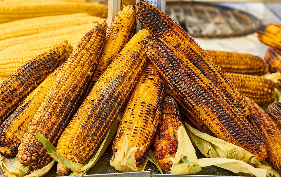 smoked corn lot, egypt, coal, baked, grill, yellow, roasted, texture, HD wallpaper