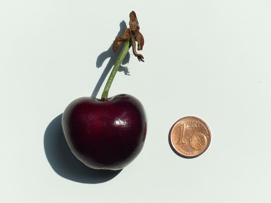 round bronze coin beside red fruit, cherry, large, huge, size comparison HD wallpaper