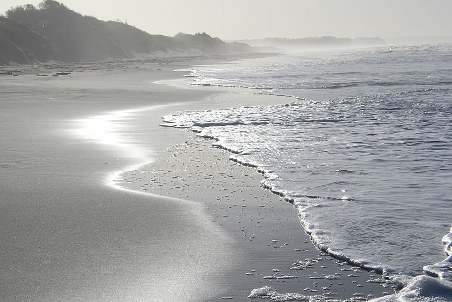 photo of seashore during daytime, beach, new zealand, opotiki, HD wallpaper