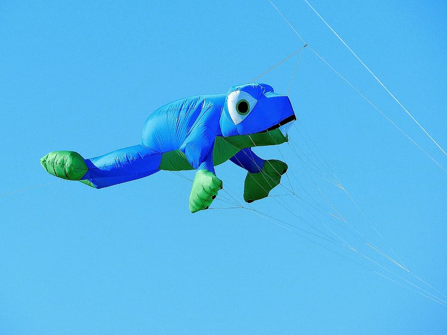 balloon, dragons, frog, blue, fly, sky, animal, multi colored HD wallpaper