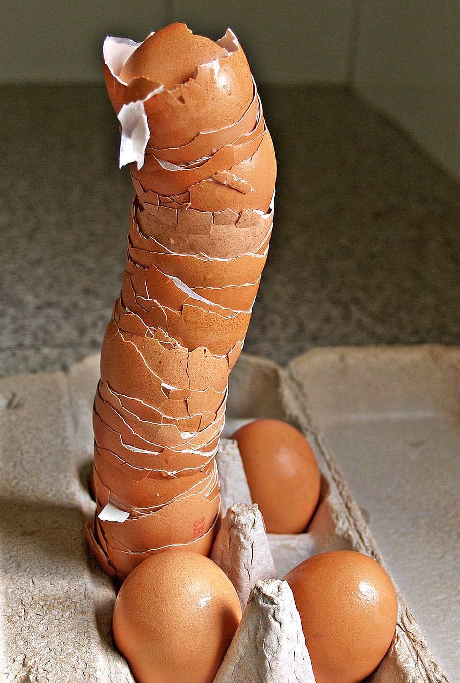 empty chicken egg shells on gray tray, eggshells, tall, pile HD wallpaper