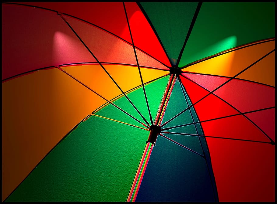 assorted-color umbrella, screen, colorful umbrella, parasol, shade tree