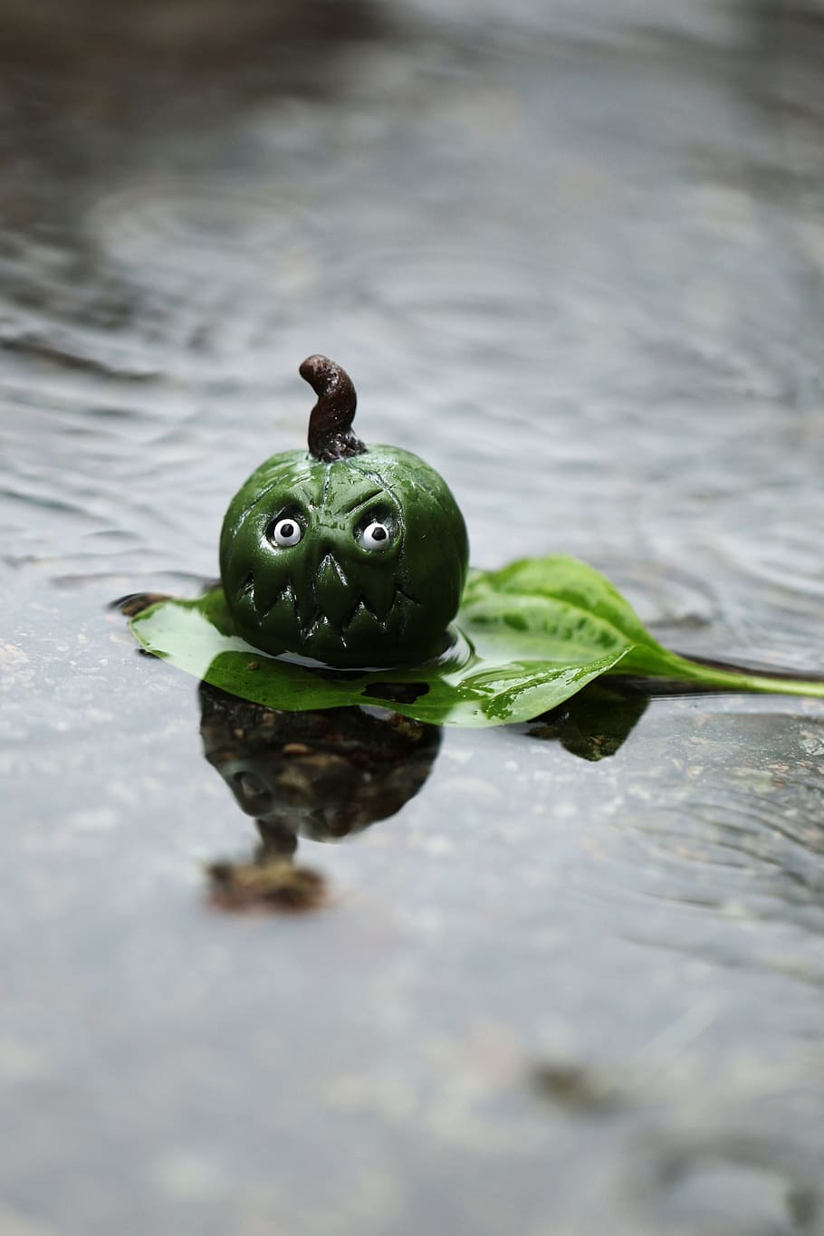 Water, Leaf, Figure, Weather, rain, tiny, wet, nature, amphibian