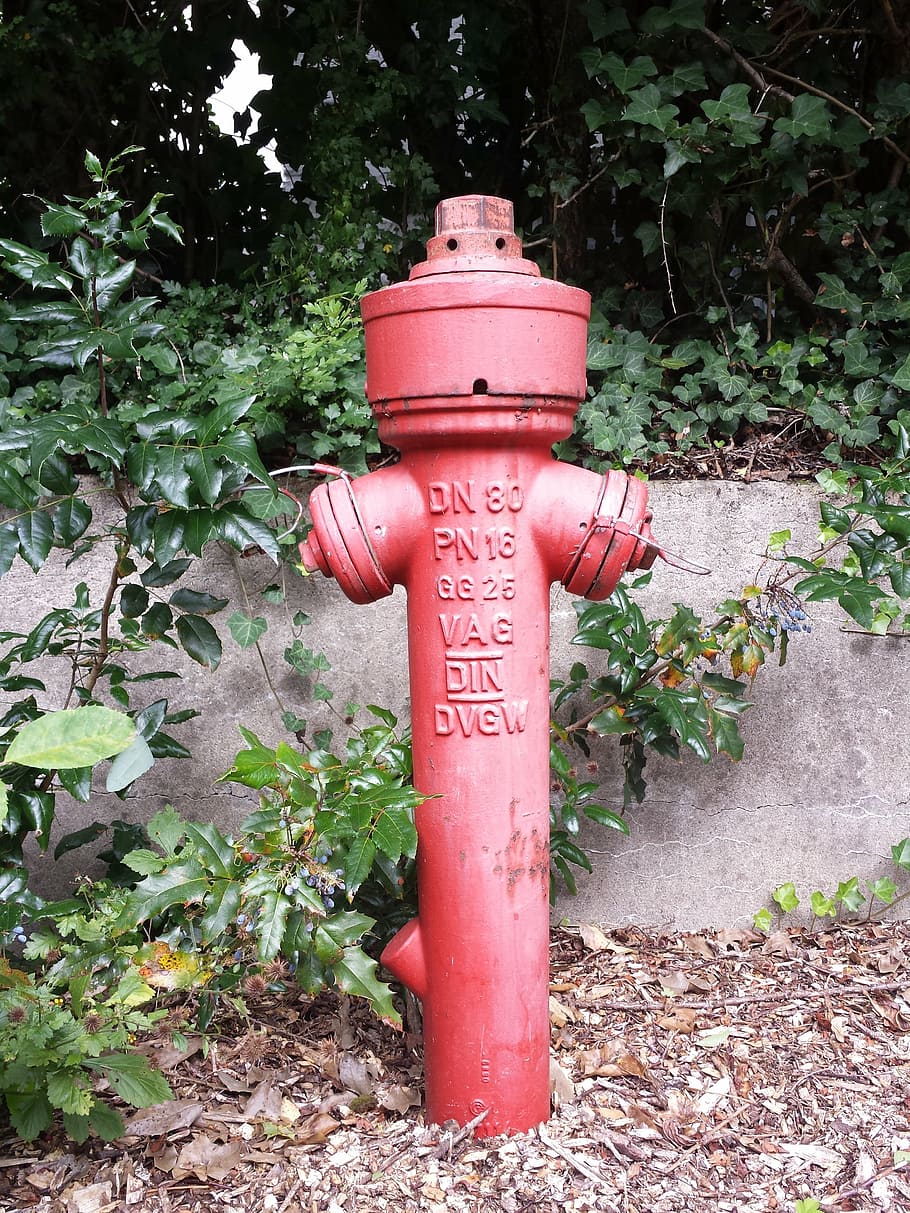 hydrant, fire, red, watering hole, retro, day, plant, nature HD wallpaper