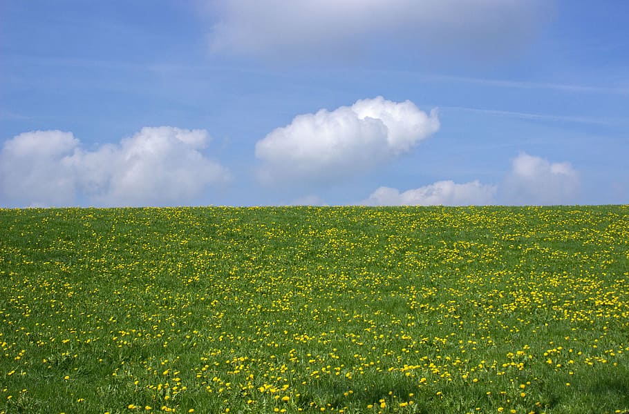 green lawn, landscape, meadow, clouds, sky, vision, panorama HD wallpaper
