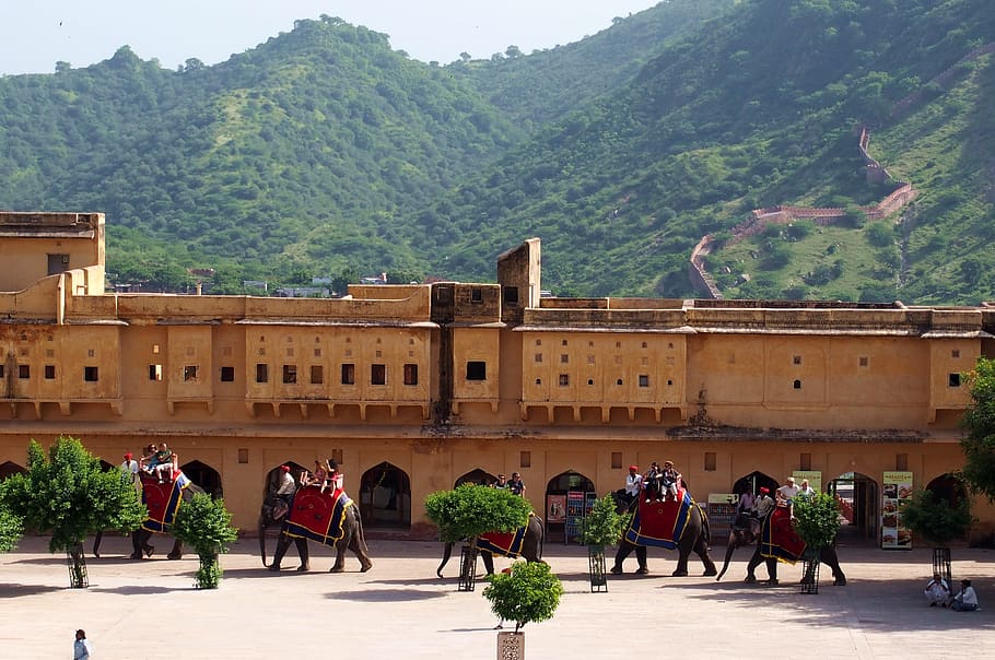 Chomu palace in jaipur