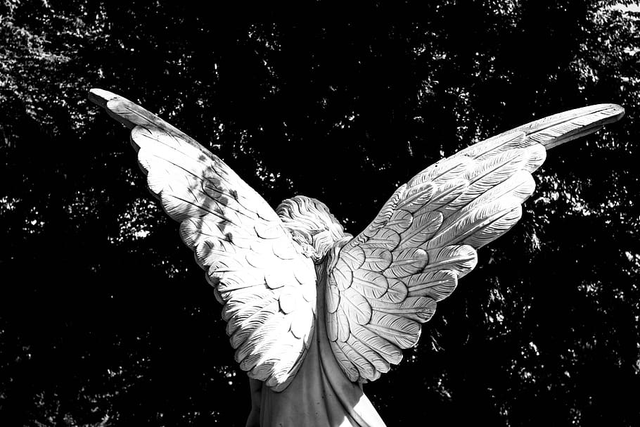 greyscale photography of female angel statue, wing, angel wings, HD wallpaper