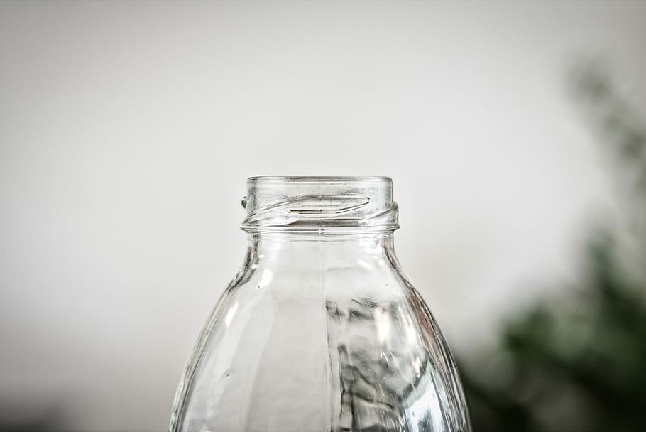 clear glass bottle, empty, reflection, plant, container, glass - material HD wallpaper