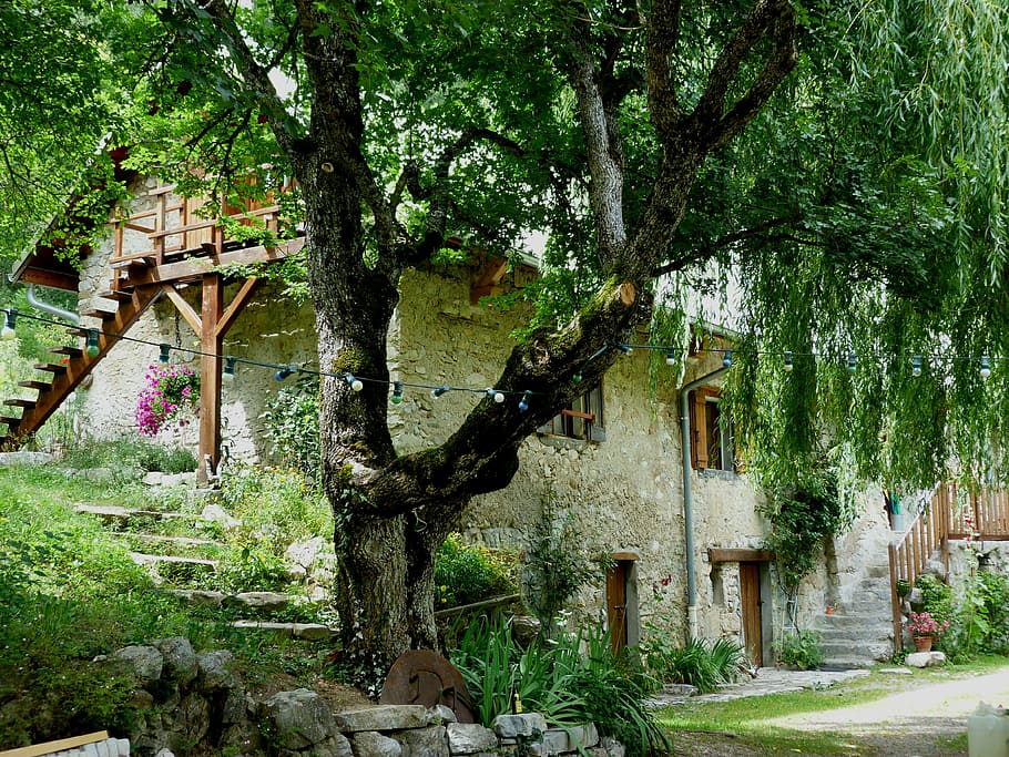 house, hostel, mountain, shading, promenade, calm, tree, plant HD wallpaper